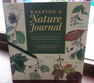 Keeping A Nature Journal thumbnail