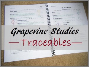 New Grapevine Traceable Studies for children age 3-5