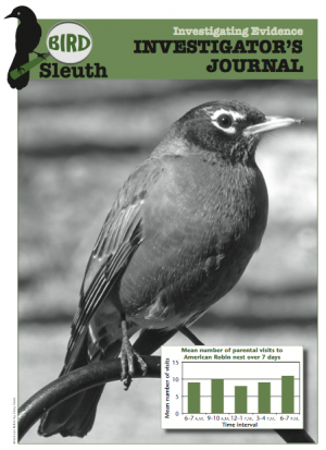Get In on the Fun of Birdwatching with BirdSleuth thumbnail