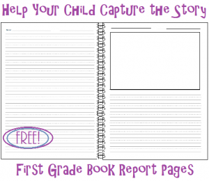 Sample grade school book report