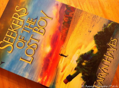 Seekers Of The Lost Boy thumbnail