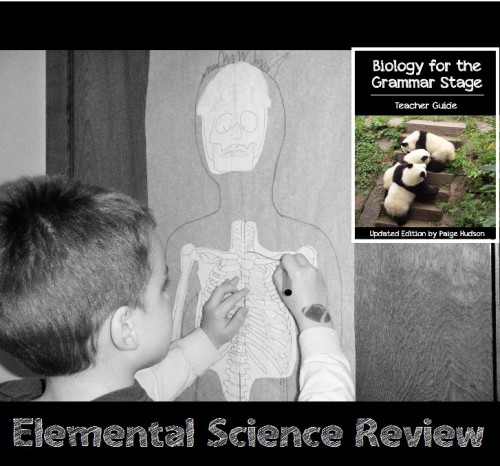 Elemental Science Review