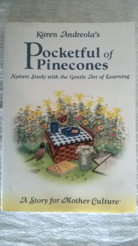 Pocket Full of Pinecones Review
