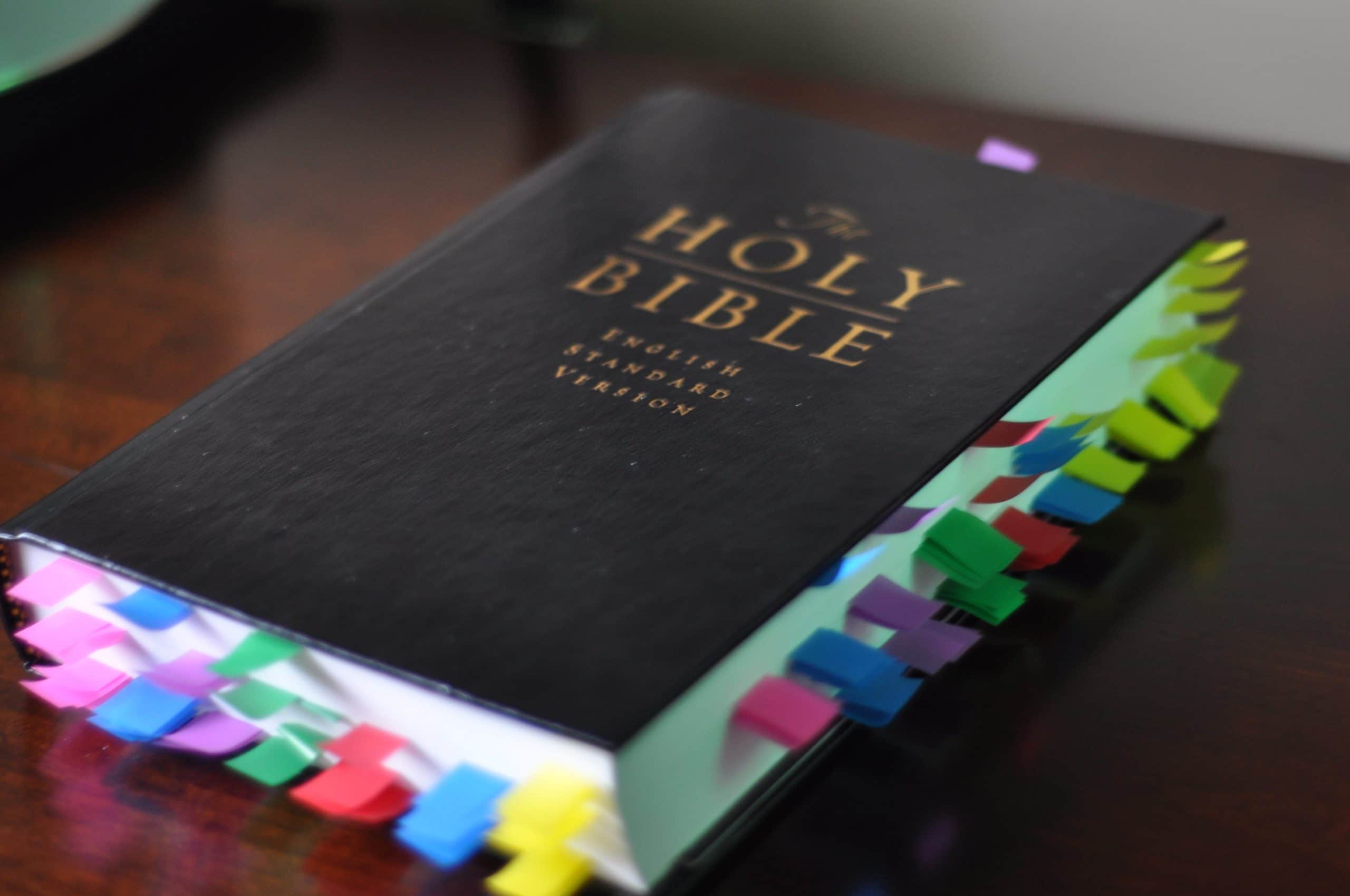 The Child Training Bible Review The Curriculum Choice