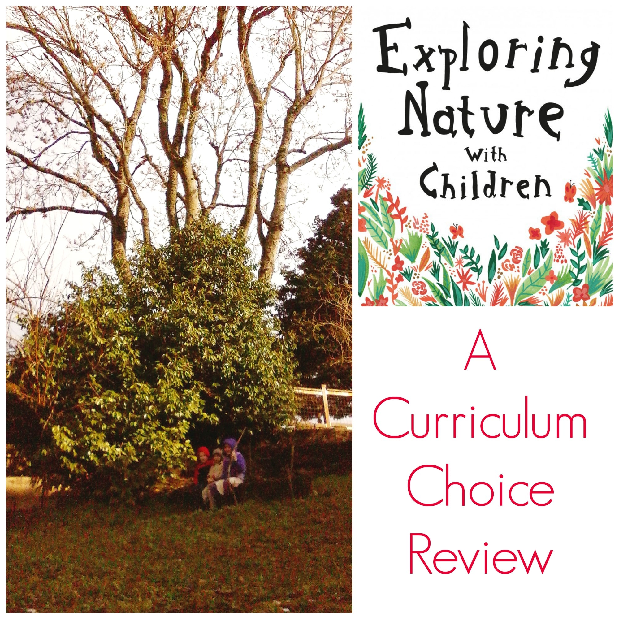 Exploring Nature with Children - The Curriculum Choice 