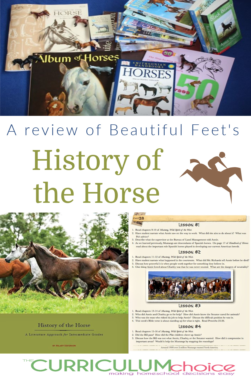 Beautiful Feet Books History of the Horse is a Christian, living books based unit study for grades 3-7 with  tons of great literature & activities for your horse lover! A review from The Curriculum Choice