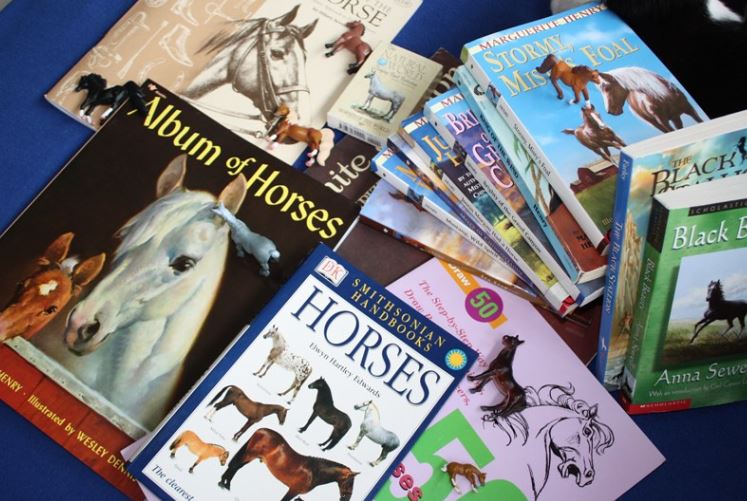 Beautiful Feet Books History of the Horse is a Christian, living books based unit study for grades 3-7 with  tons of great literature & activities for your horse lover! A review from The Curriculum Choice
