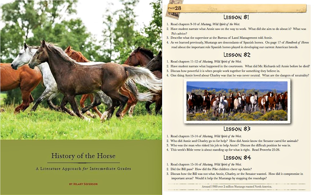 Beautiful Feet Books History of the Horse is a Christian, living books based unit study for grades 3-7 with  tons of great literature & activities for your horse lover! A review from The Curriculum Choice
