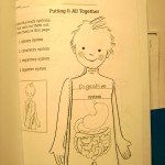 Sample How My Body Works Worksheet Activity