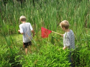 wetlandwaterobservation3