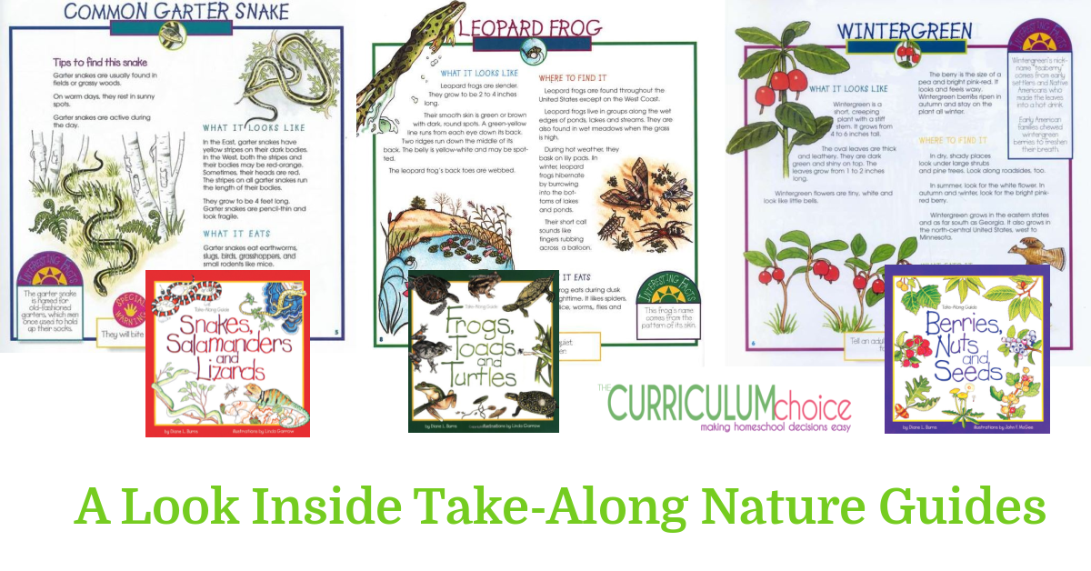 A look inside homeschool Nature Guides - easy on-the-go guides for exploring, and identifying all kinds of creatures and plants with fun activities too! A review from The Curriculum Choice