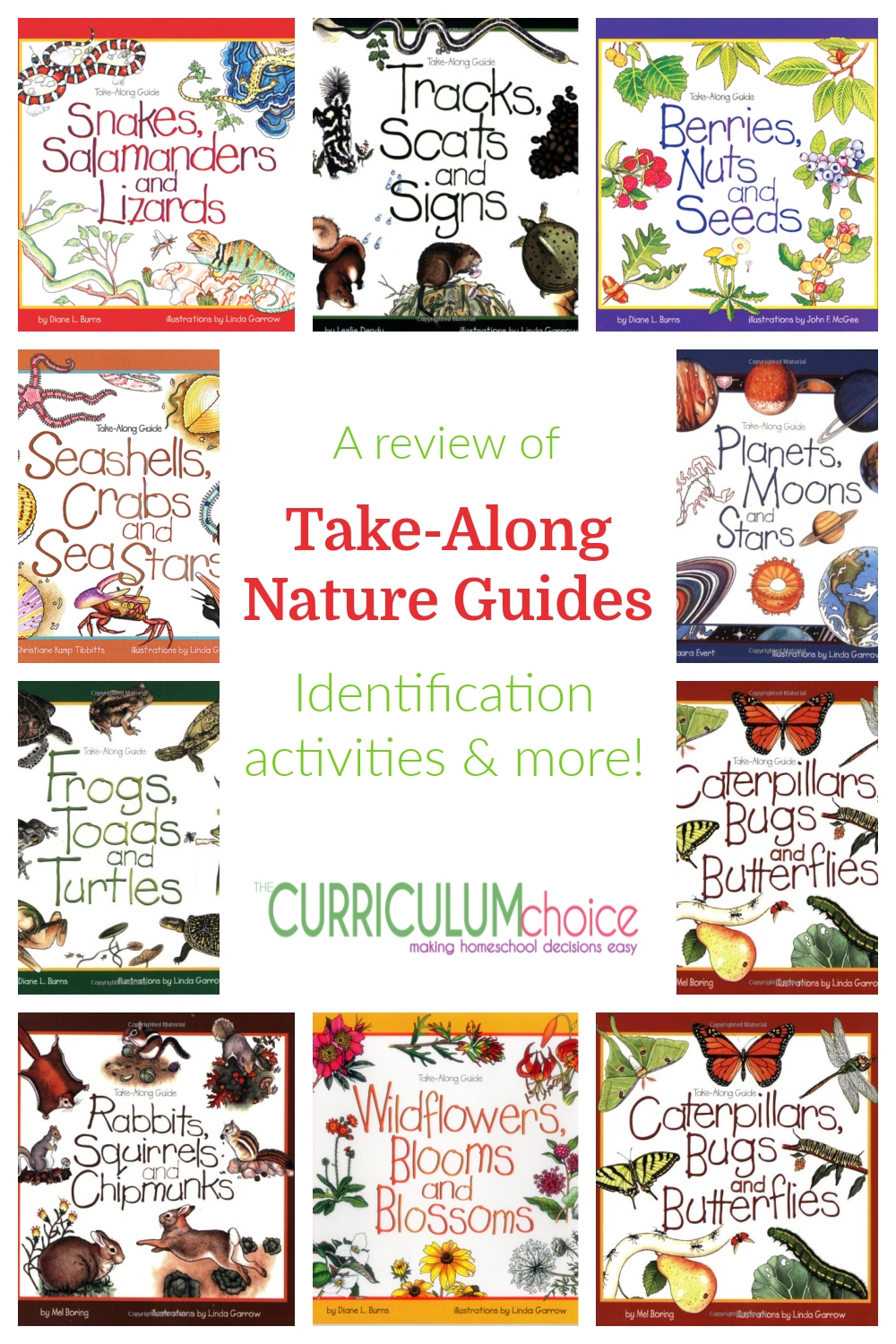 Take-Along Nature Guides - easy on-the-go guides for exploring, and identifying all kinds of creatures and plants with fun activities too! A review from The Curriculum Choice