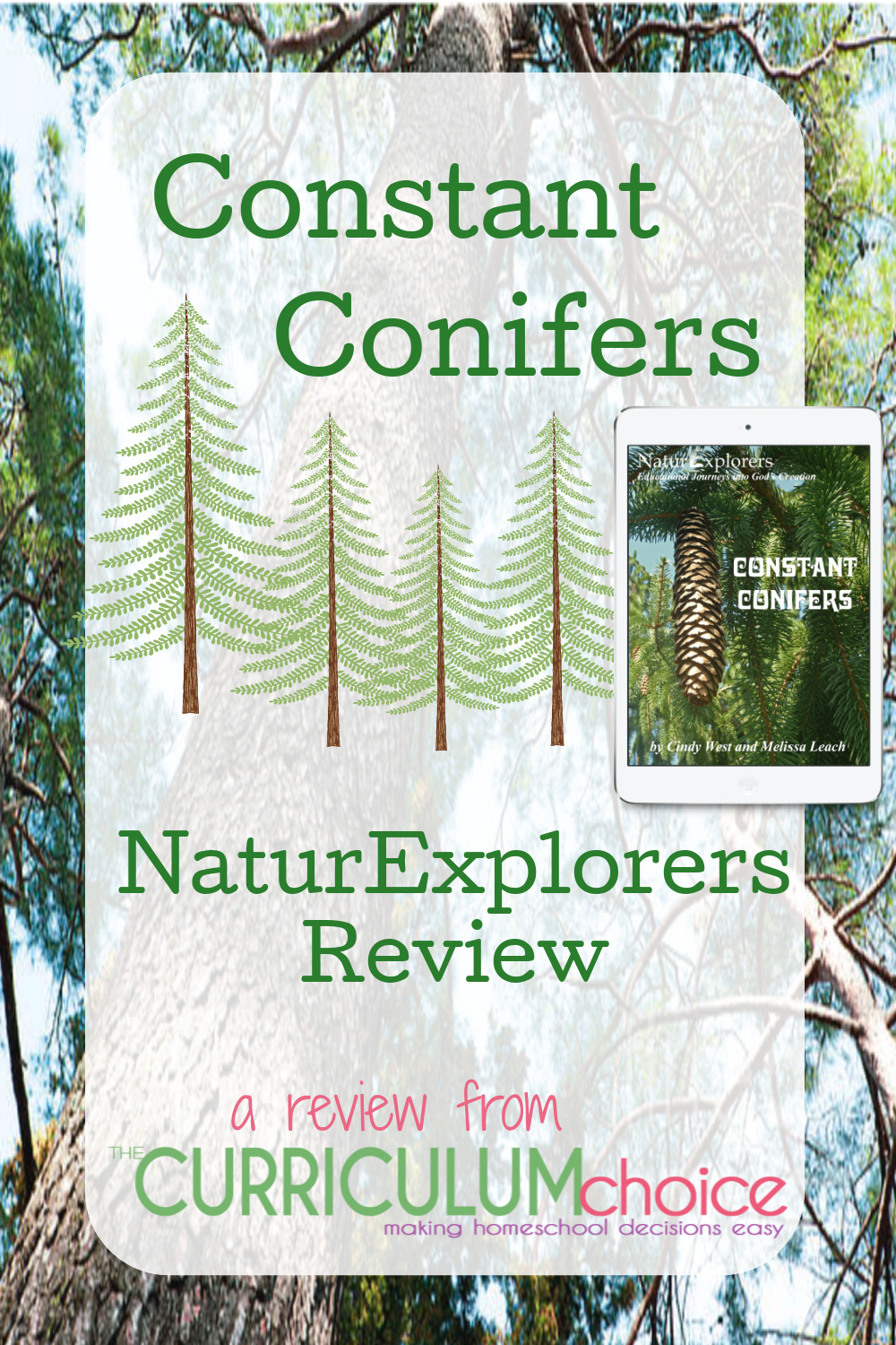 NaturExplorers Constant Conifers - 30+ nature walks; learn about all parts of conifers including cones, leaves, branches, sap and more