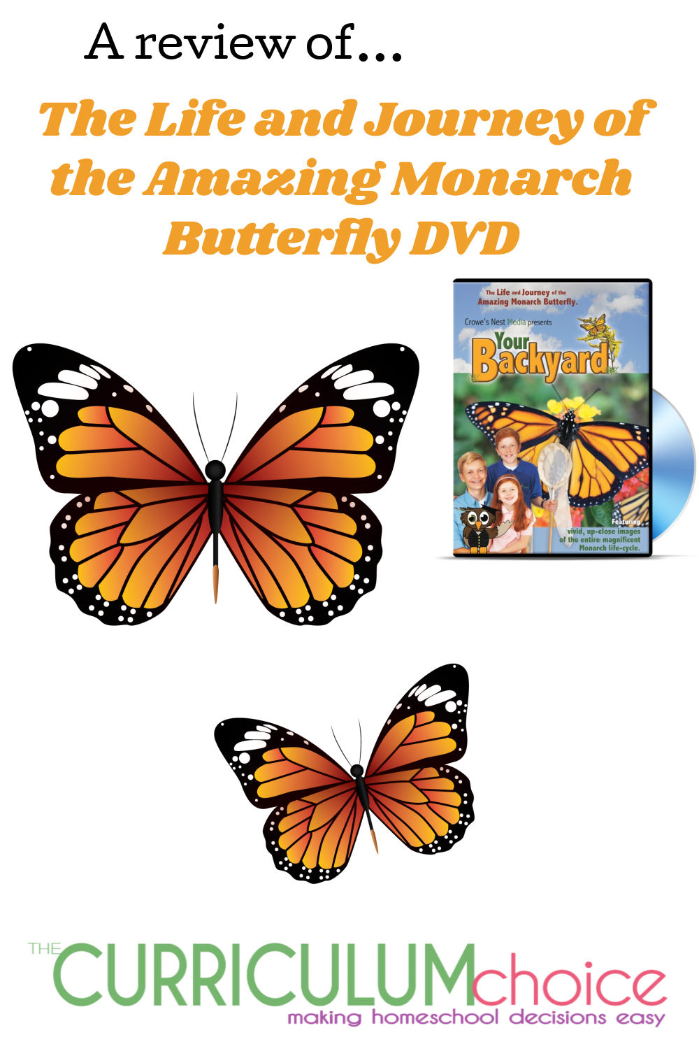 Monarch Butterfly Kits to Raise Baby Caterpillars into Butterflies – Monarch  Butterfly Life