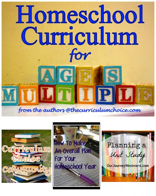 view team authors. All to help with the challenges – and blessings – of homeschooling multiple ages! Specifically, choosing homeschool curriculum for multiple ages.