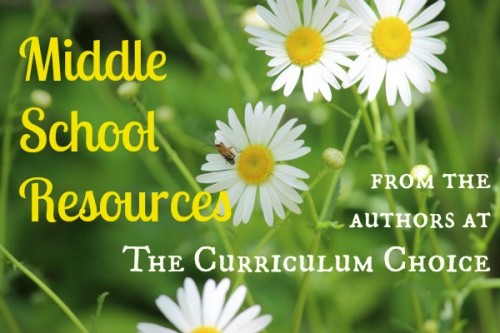 The Curriculum Choice authors share some of their favorite resources to encourage you as you homeschool middle school. Reviews, helps and more.