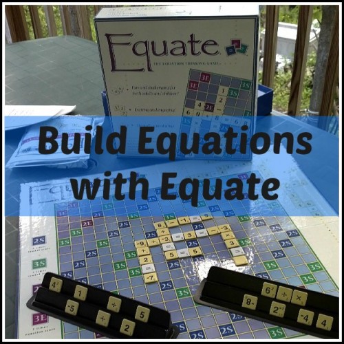 Details about   Equate the Equation Thinking Game ~Math Algebraic Reasoning Fraction Homeschool 