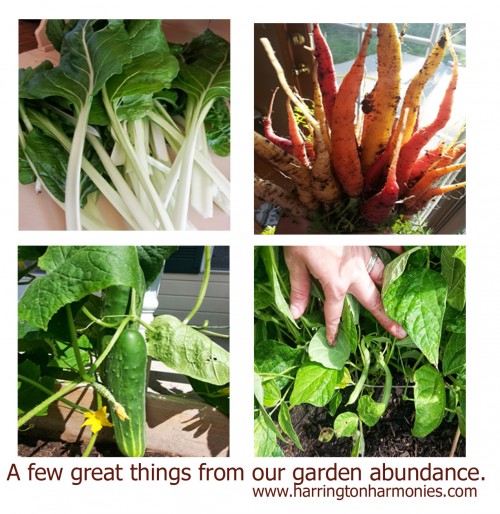 We gained much from th eunit study and our garden! | The Curriculum Choice 