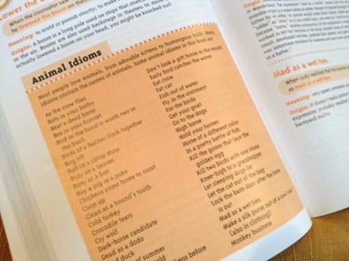 Scholastic's Idiom Dictionary :: a handy reference tool! - The