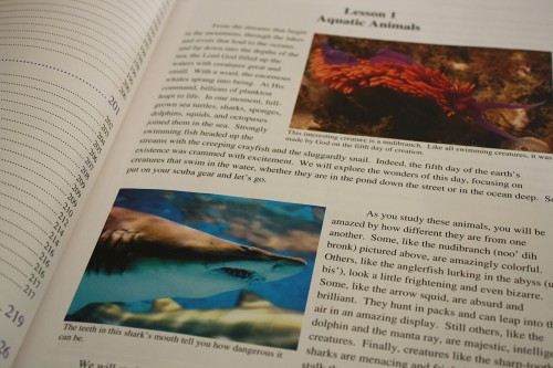 Apologia Swimming Creatures review www.thecurriculumchoice.com