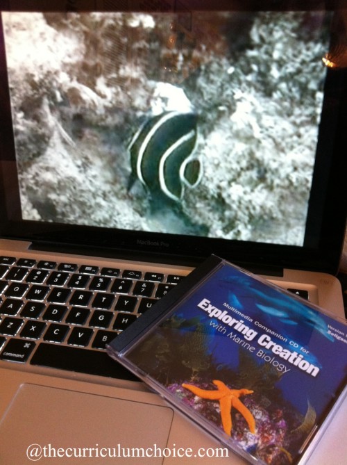 Marine Biology Multimedia Companion CD www.thecurriculumchoice.com