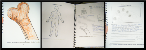 Elemental Science Notebooking Pages