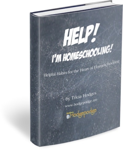 Help! I'm Homeschooling 400