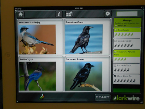 Larkwire app review