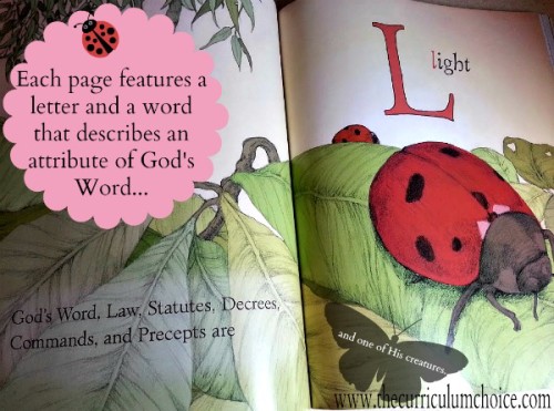 A Light to my Path ( Apologia Press) Then I realized it’s an ABC picture book and a reflection on Psalm 119 for children all in one. | The Curriculum Choice