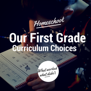 Our First Grade Curriculum Choices - A Journey of Purpose
