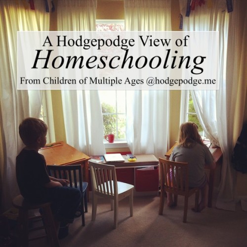 A-Hodgepodge-View-of-Homeschooling-From-Multiple-Ages-www.hodgepodge.me_-580x580