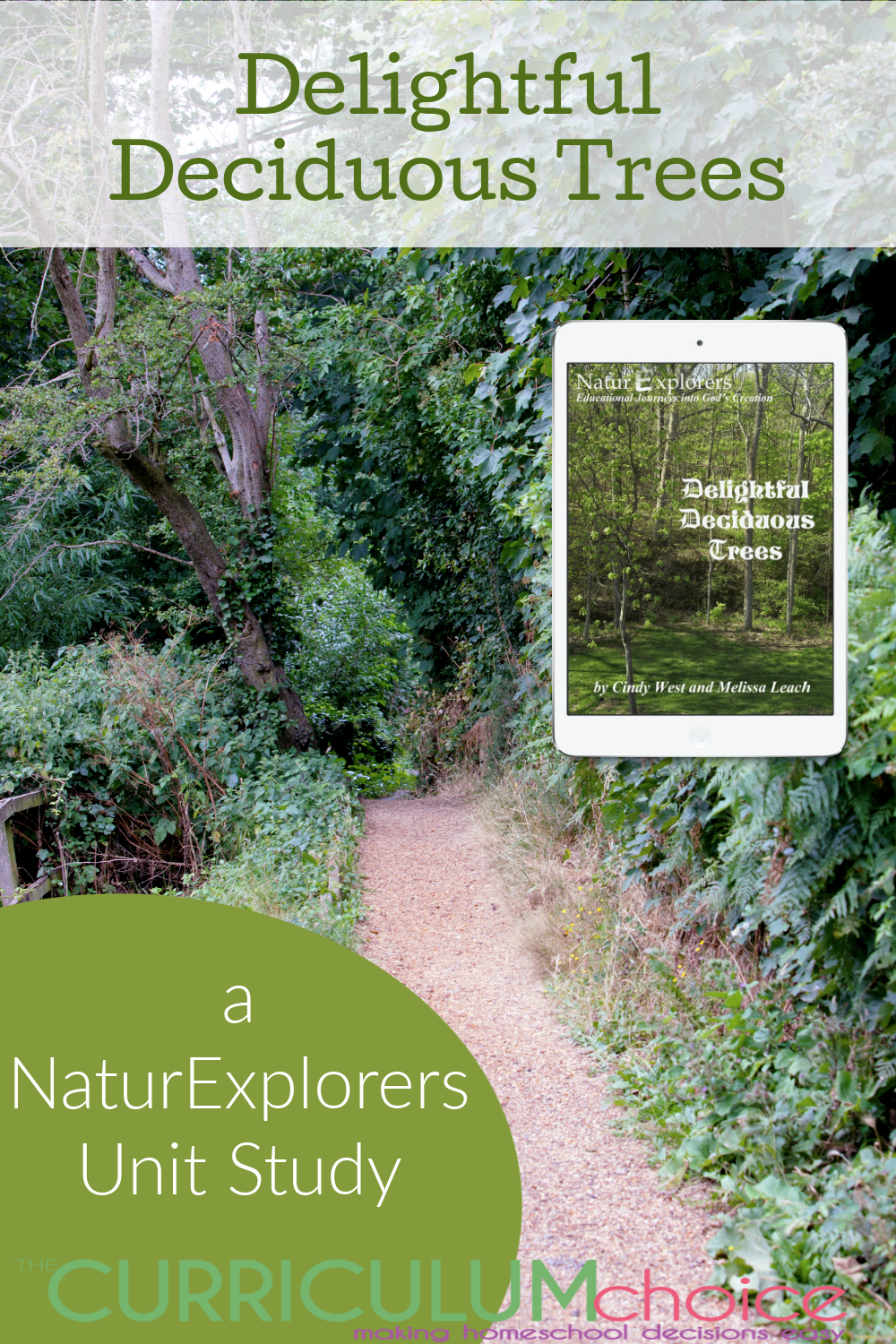 Review of NaturExplorers Delightful Deciduous Trees and how this unit study works for both new and seasoned homeschoolers!