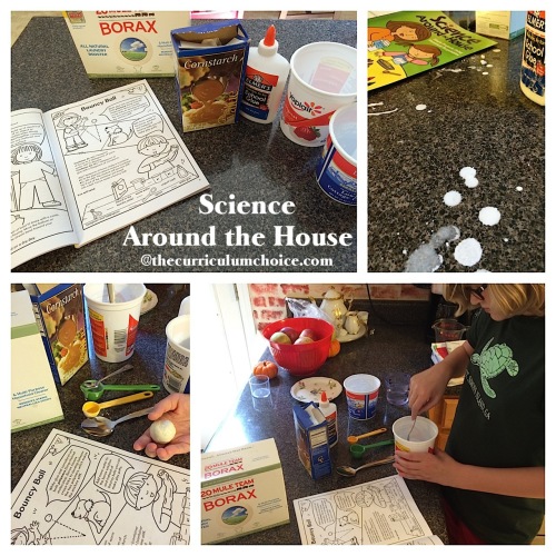 Science Around the House by Dover Publications