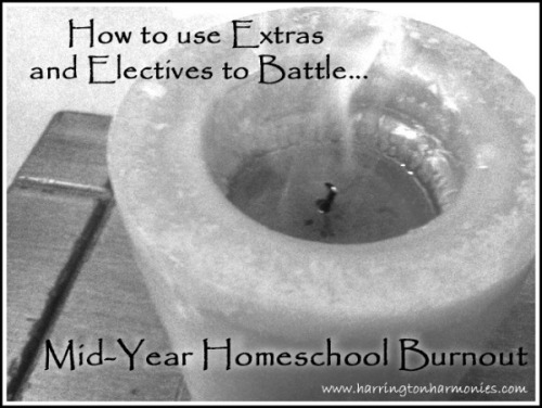 Battle homeschool Boredom with extras and electives. 