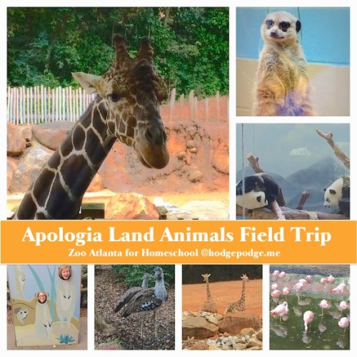 Apologia-Land-Animals-Zoo-Field-Trip-580x580