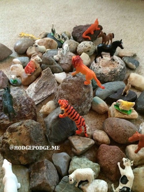 toy-zoo-for-Land-Animals-study-at-Hodgepodge-547x730