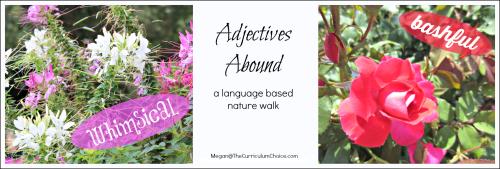 100+ Easy and Fun Creative Nature Walks Review