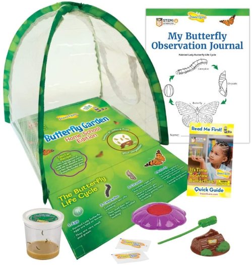 Homeschool Springtime Science: Butterfly Garden Homeschool Edition with Live Caterpillars