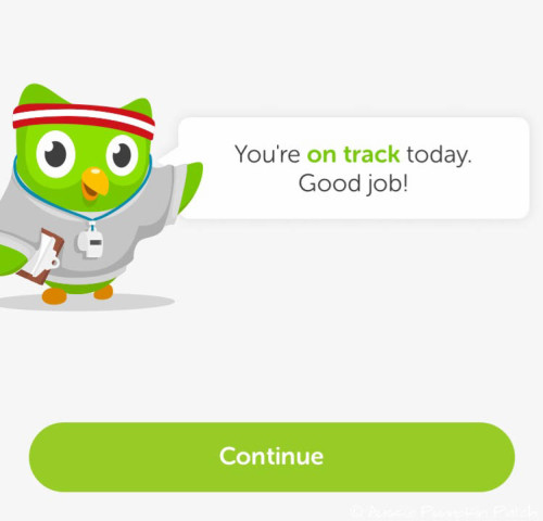 DuoLingo Review - It’s a free website dedicated to helping you learn one of many foreign languages. Sign-up is free, use is free. Mobile compatible. I’ve found the programme quite addictive at times, crazy but true! It’s really inspired me to get cracking on learning that second language.