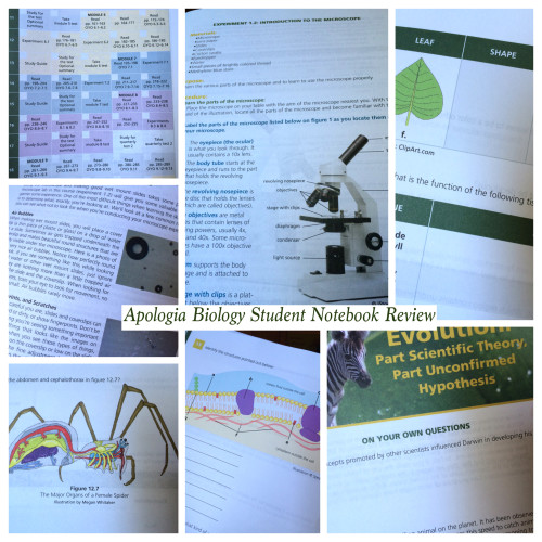 Apologia Biology Student Notebook Review at The Curriculum Choice
