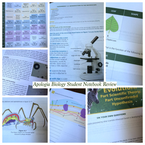 Apologia Biology Student Notebook Review at The Curriculum Choice