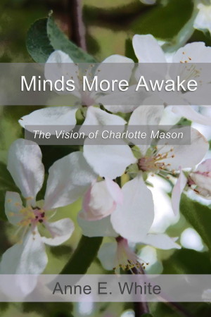 MindsMoreAwakeCover (large)