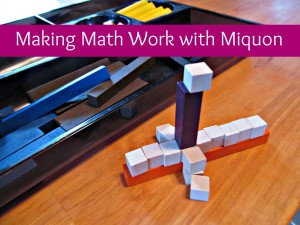 Making Math Work with Miquon