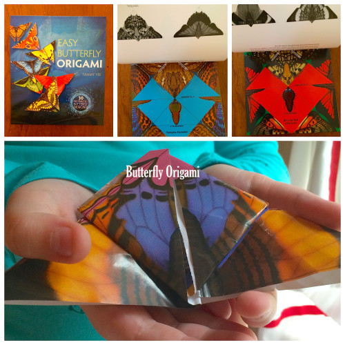 Easy Butterfly Origami from Dover Publications