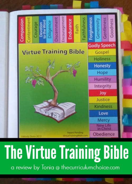 virtue training bible