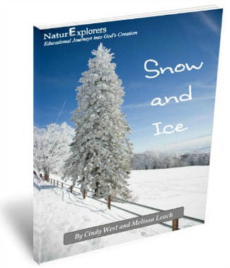 Snow and Ice Nature Study Review