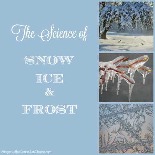 Snow and Ice Nature Study Review