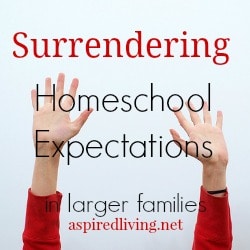 Surrendering Homeschool Expectation