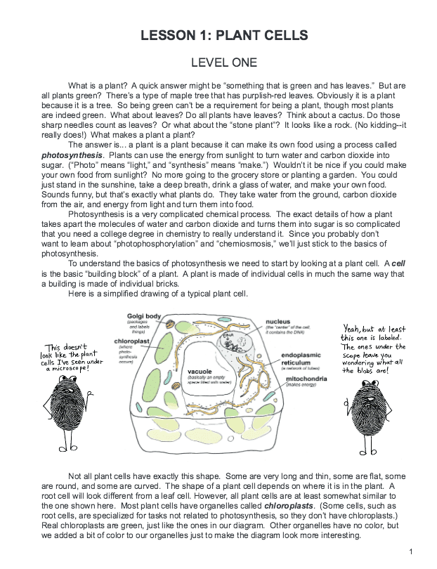 Botany in 8 Lessons - Sample Lesson 1