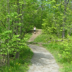 nature trail